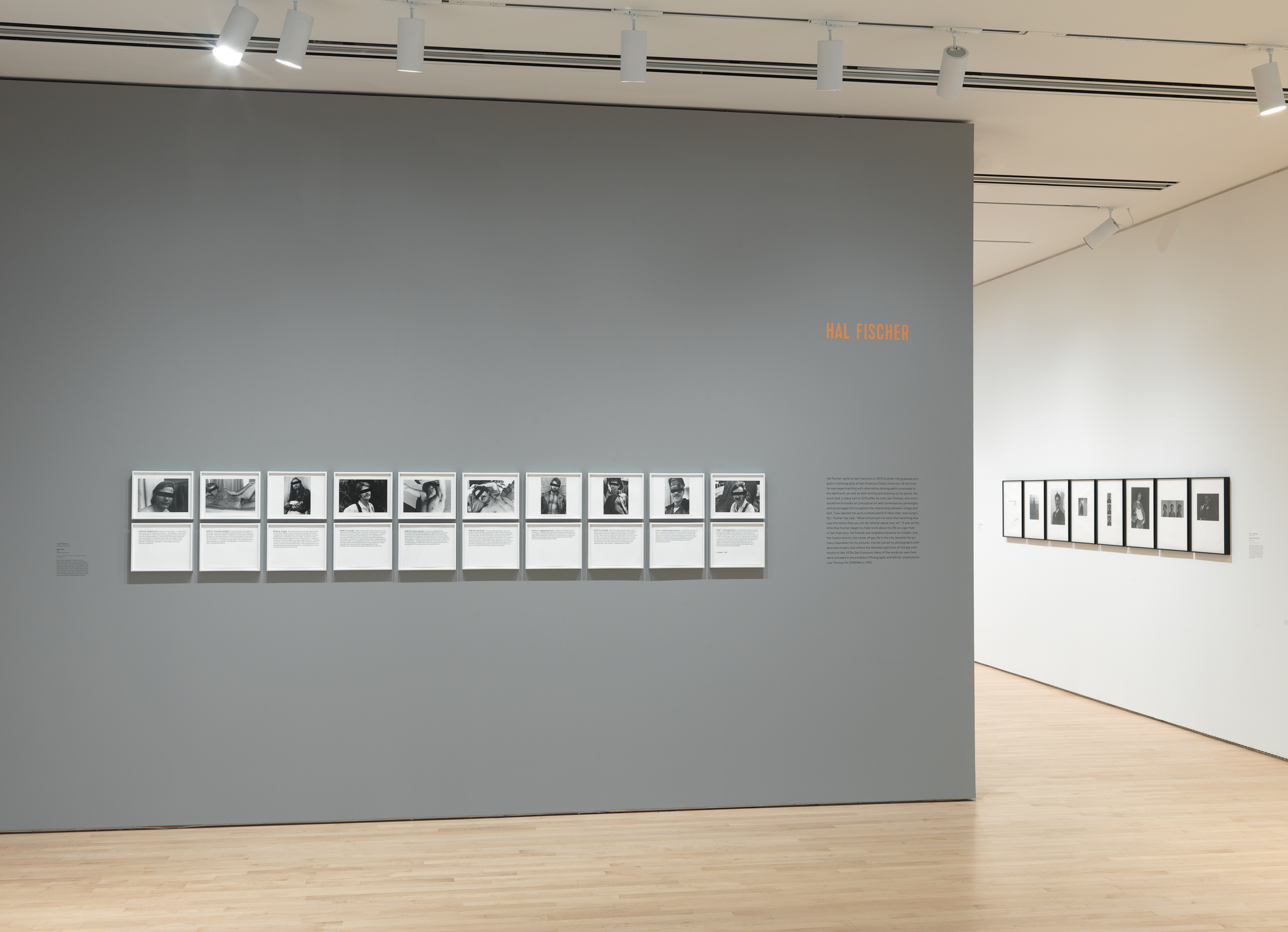 Language, Sequence, Structure: Photographic Works by Lew Thomas, Donna-Lee  Phillips, and Hal Fischer - Addison Gallery